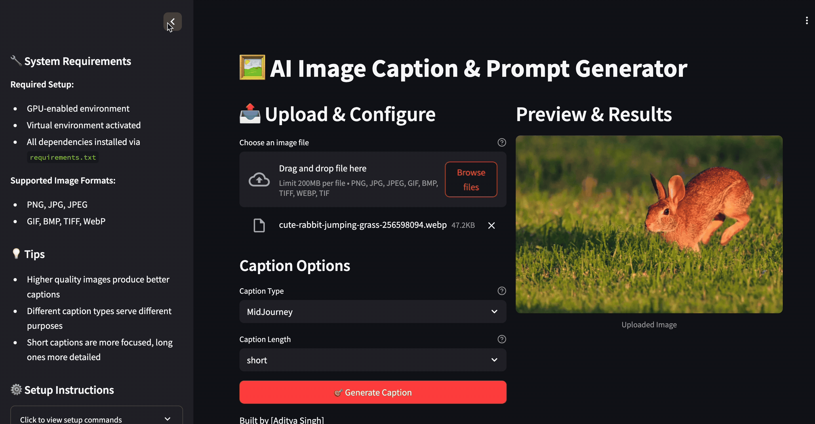 Image Prompting and Captioning